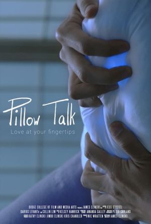 Pillow Talk's poster