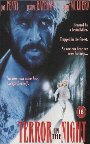 Terror in the Night's poster