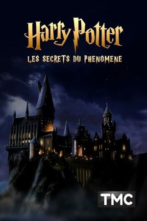 Harry Potter : les secrets du phénomène's poster