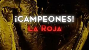 ¡Campeones! La Roja's poster