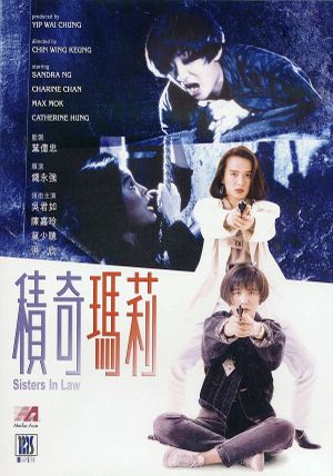 Sisters in Law's poster