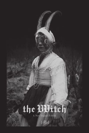 The Witch's poster