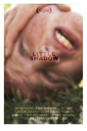 Little Shadow's poster image