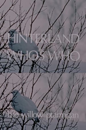 Hinterland Who's Who: The Willow Ptarmigan's poster