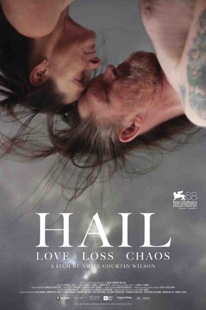Hail's poster