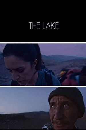 The Lake's poster image