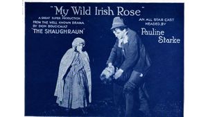 My Wild Irish Rose's poster