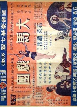 The Circus's poster image