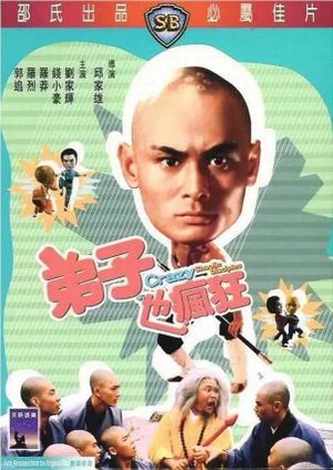 Crazy Shaolin Disciples's poster