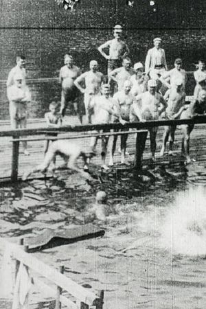 Žofín Swimming Bath's poster