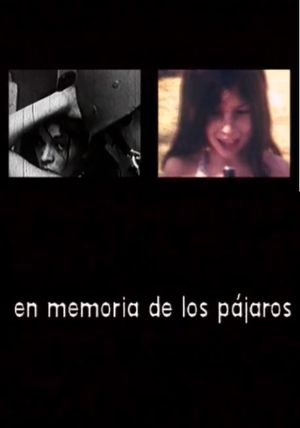 En memoria de los pájaros's poster