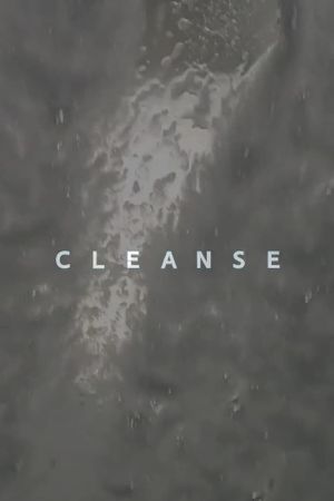 Cleanse's poster