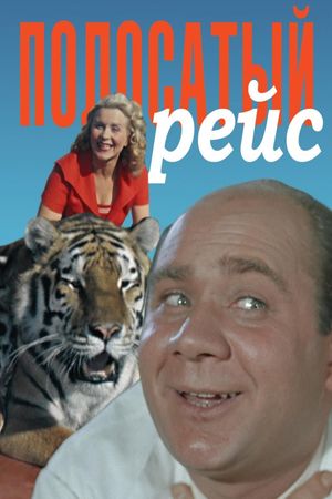 Striped Trip's poster