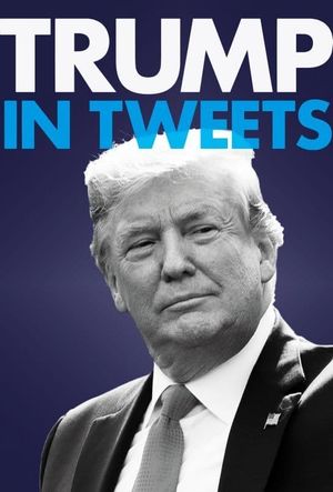 Trump in Tweets's poster
