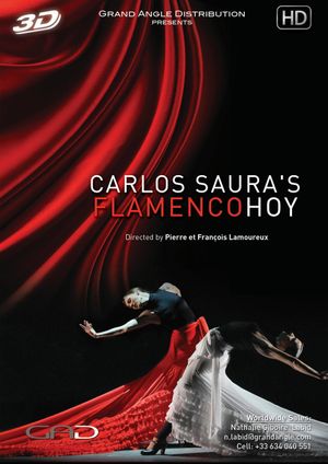 Carlos Saura's FlamencoHoy's poster