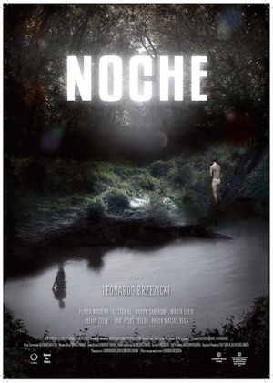 Night's poster