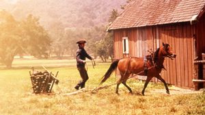 Justin Morgan Had a Horse's poster