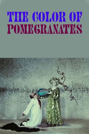 The Color of Pomegranates's poster