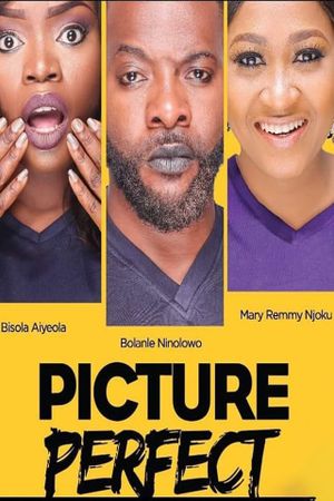 Picture Perfect's poster image