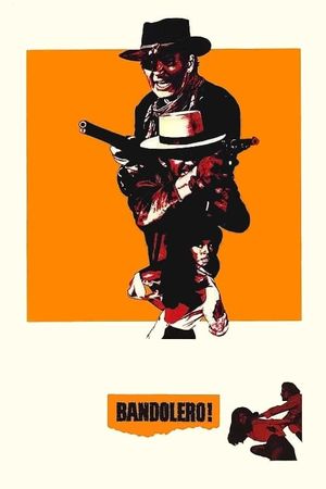 Bandolero!'s poster