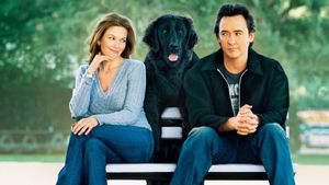 Must Love Dogs's poster