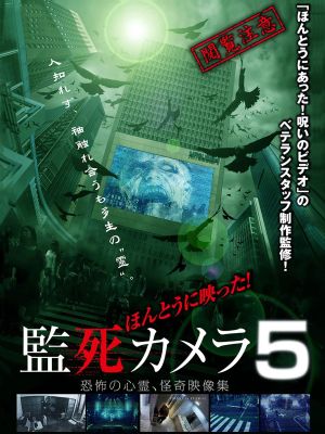 Paranormal Surveillance Camera 5's poster