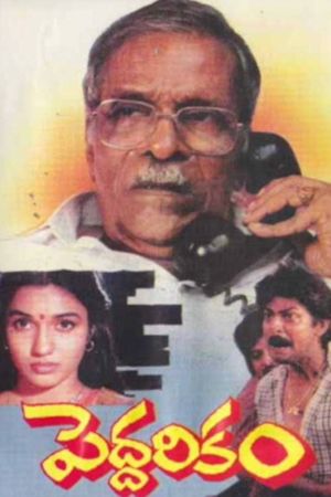 Peddarikam's poster