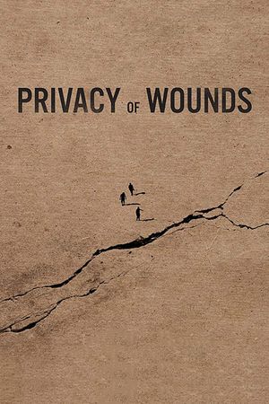 Privacy of Wounds's poster