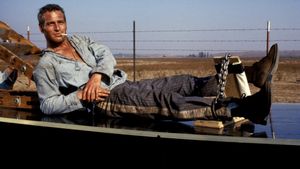 Cool Hand Luke's poster