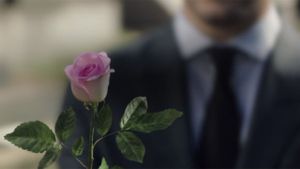 A Rose Reborn's poster
