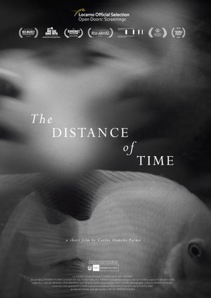 The Distance of Time's poster