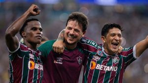 Todo Dia É 4 de Novembro: O Fluminense Conquista a América's poster