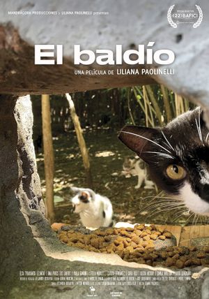 El Baldío's poster