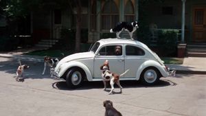 The Love Bug's poster