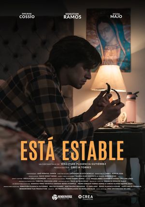 She Is Stable's poster