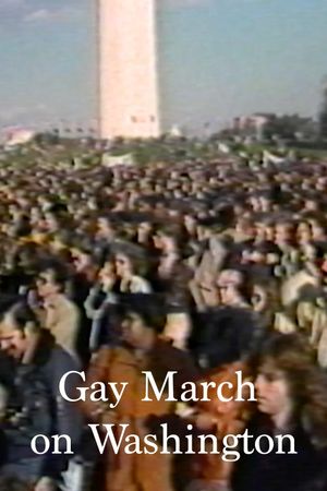 Gay March on Washington's poster