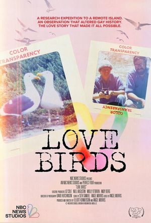 Love Birds's poster