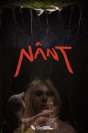 Nânt's poster