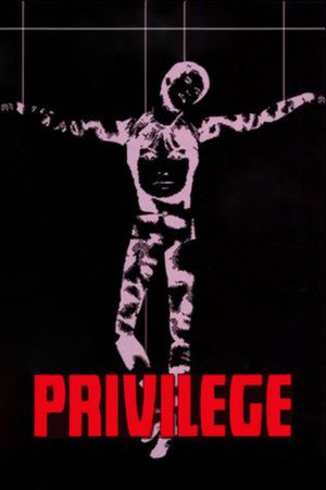 Privilege's poster