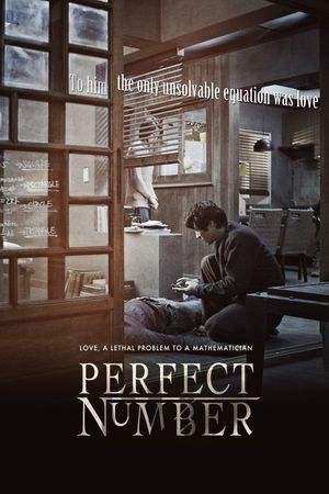 Perfect Number's poster