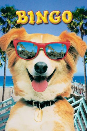 Bingo's poster
