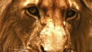 Brothers in Blood: The Lions of Sabi Sand's poster