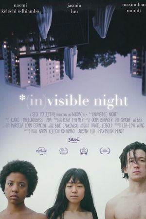 *(In)Visible Night's poster image