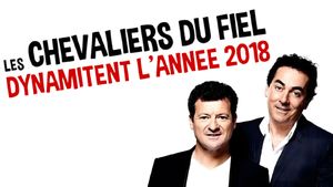 Les Chevaliers du fiel dynamitent l'année 2018's poster