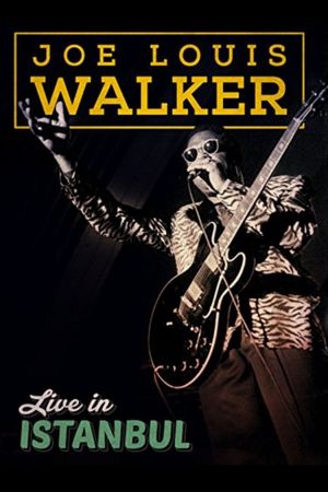 Joe Louis Walker: Live In Istanbul's poster