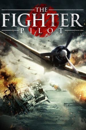 The Fighter Pilot's poster