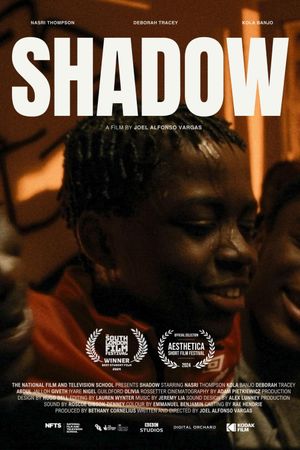 Shadow's poster