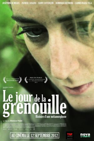 Le jour de la grenouille's poster
