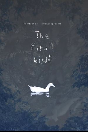 The First Night's poster