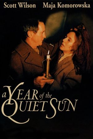 A Year of the Quiet Sun's poster
